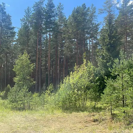 Rannapungerja Guest House * Rannapungerja